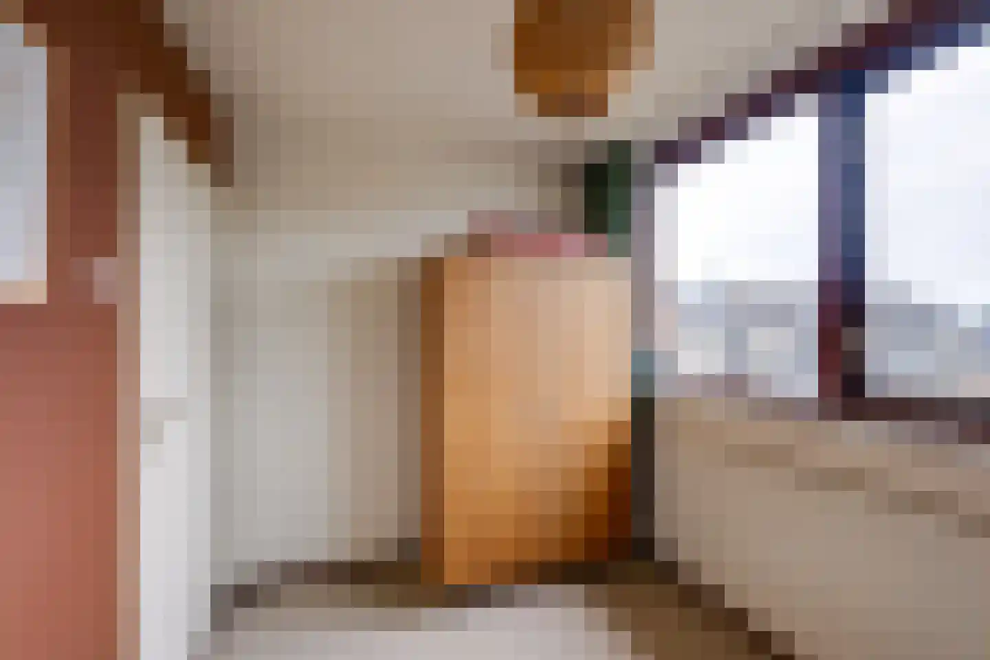 Arnoutlaan 10 Hoeven thumbnail 22