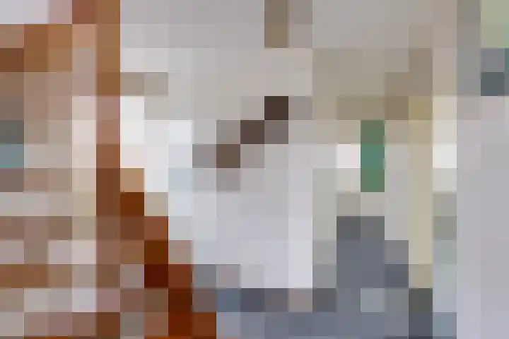Arnoutlaan 10 Hoeven thumbnail 23