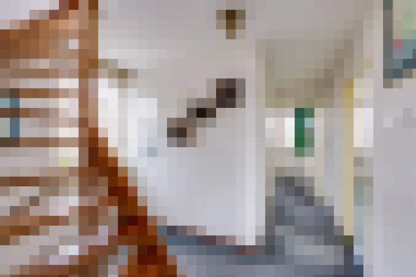 Arnoutlaan 10 Hoeven thumbnail 23