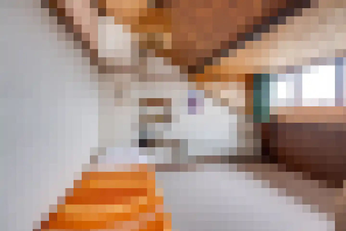 Arnoutlaan 10 Hoeven thumbnail 25
