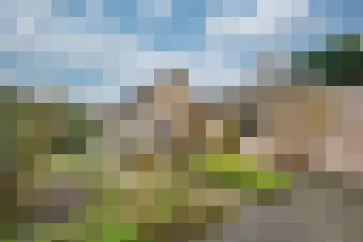 Arnoutlaan 10 Hoeven thumbnail 27