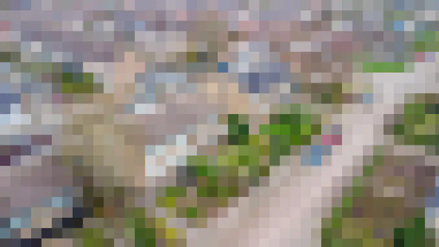 Arnoutlaan 10 Hoeven thumbnail 31