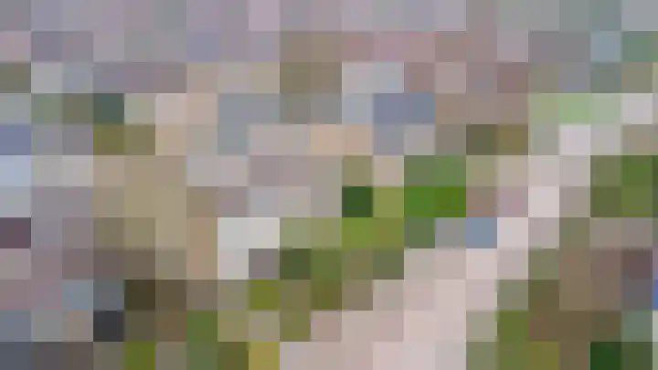 Arnoutlaan 10 Hoeven thumbnail 31