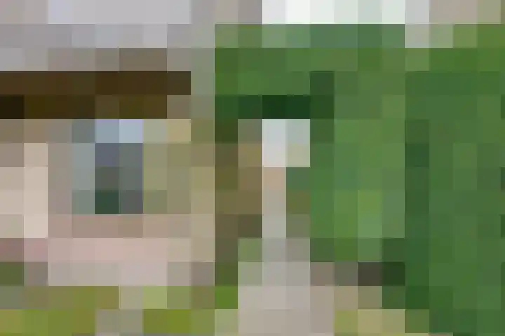 Arnoutlaan 10 Hoeven thumbnail 4