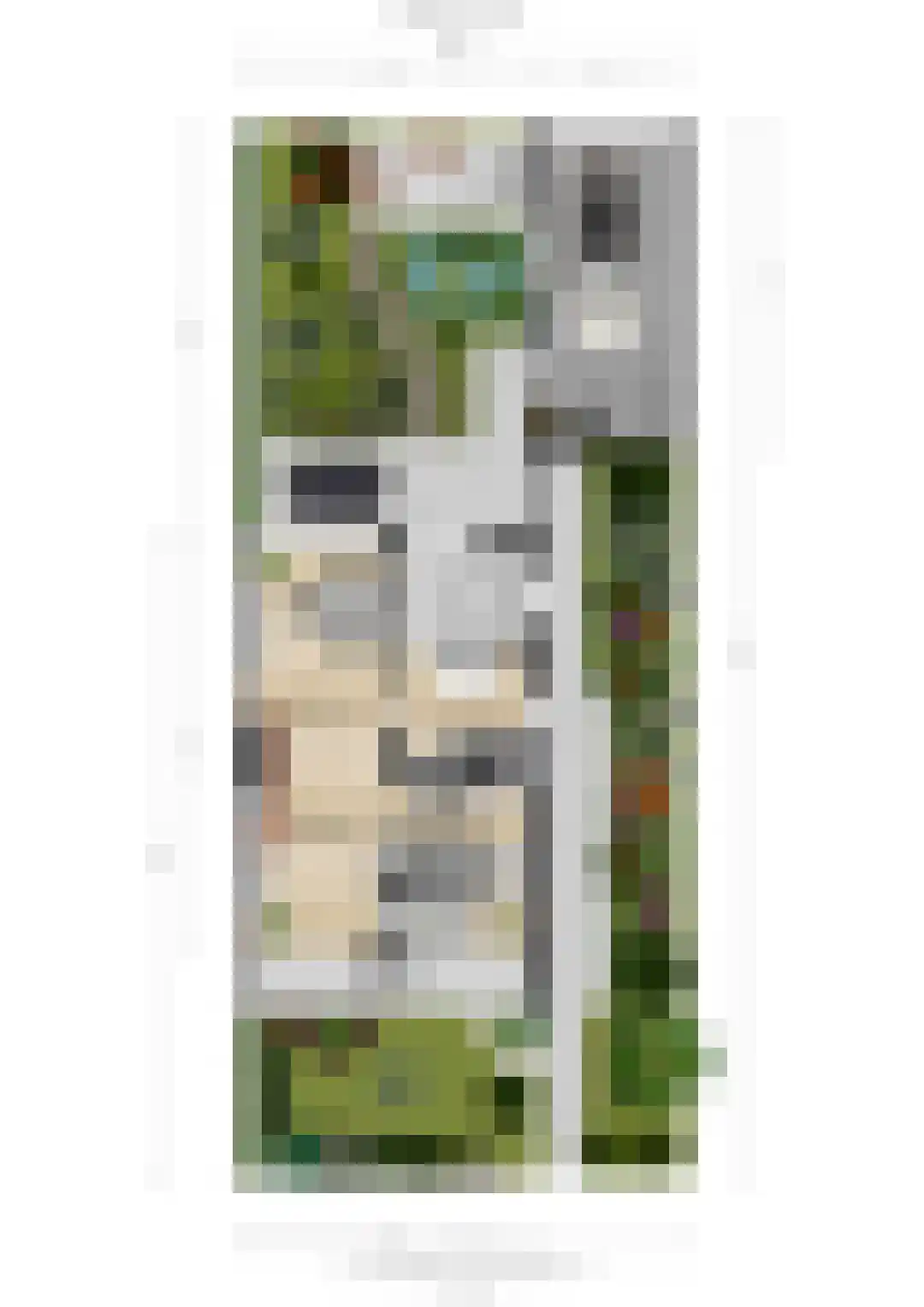 Arnoutlaan 10 Hoeven thumbnail 44