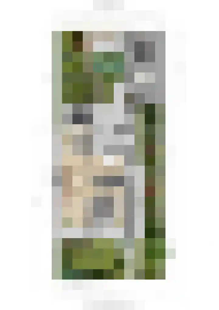 Arnoutlaan 10 Hoeven thumbnail 44