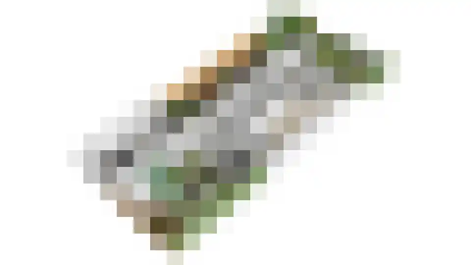 Arnoutlaan 10 Hoeven thumbnail 45