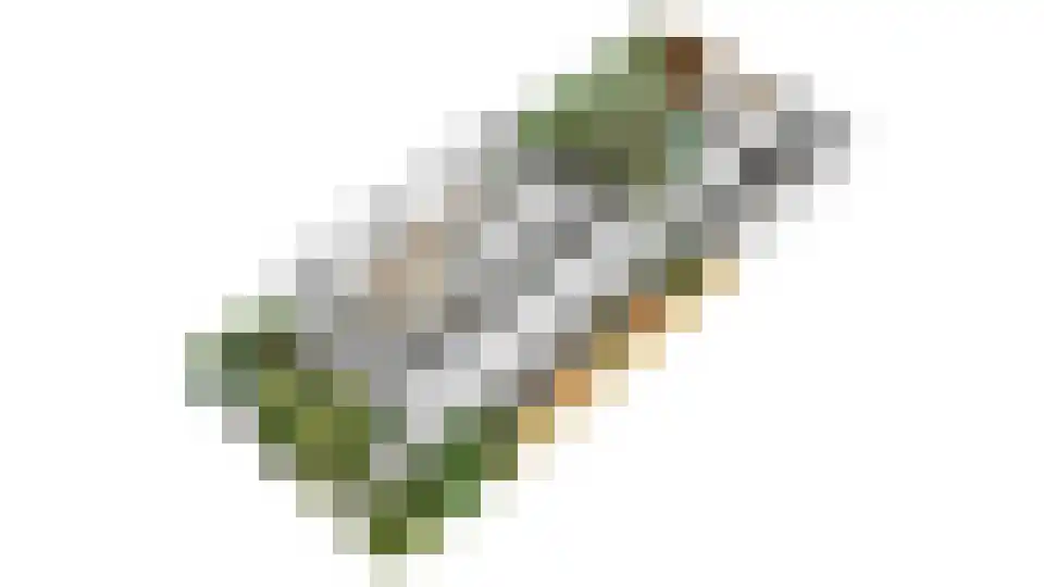 Arnoutlaan 10 Hoeven thumbnail 46