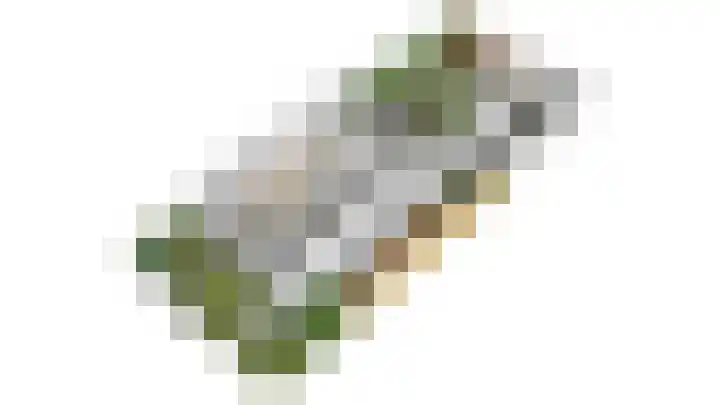 Arnoutlaan 10 Hoeven thumbnail 46