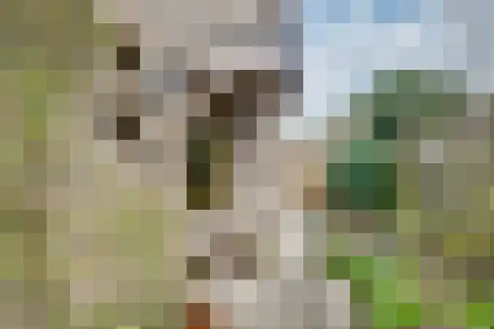 Arnoutlaan 10 Hoeven thumbnail 5
