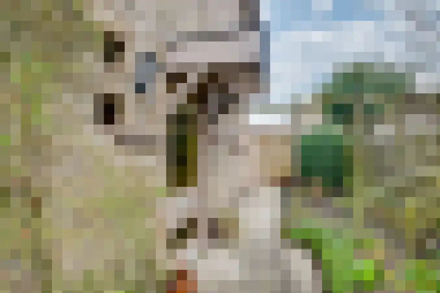 Arnoutlaan 10 Hoeven thumbnail 5