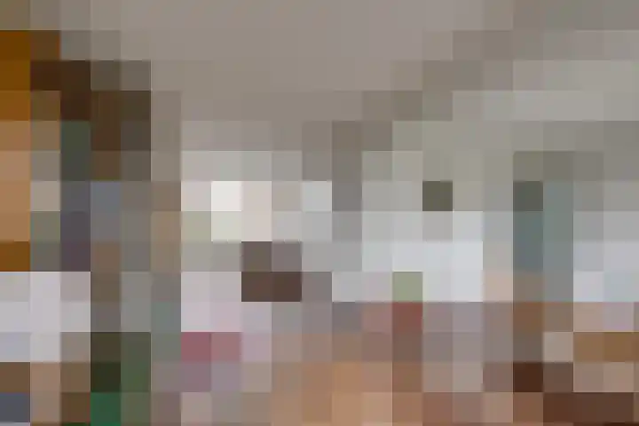 Arnoutlaan 10 Hoeven thumbnail 7