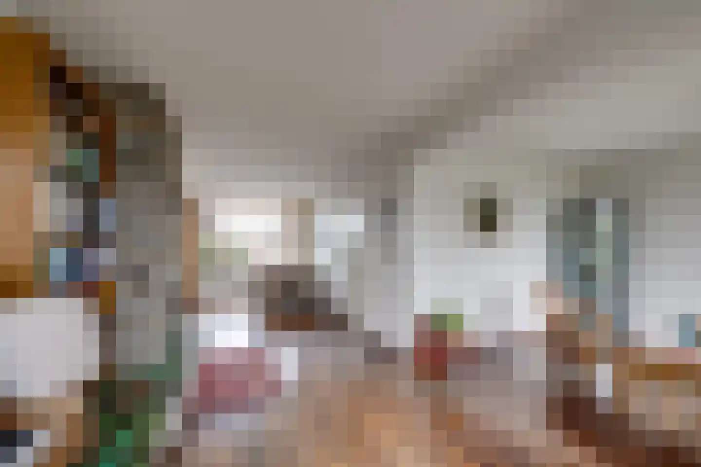 Arnoutlaan 10 Hoeven thumbnail 7