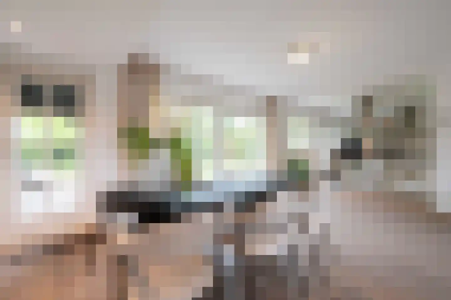 Arnoutlaan 3 Hoeven thumbnail 14