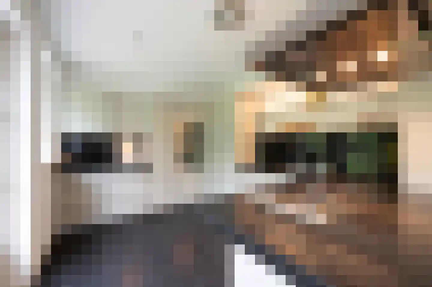 Arnoutlaan 3 Hoeven thumbnail 19