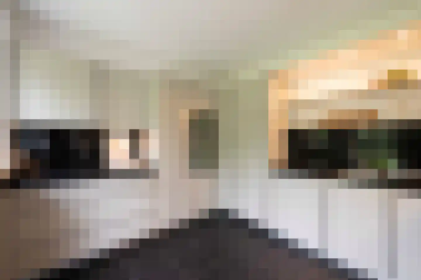 Arnoutlaan 3 Hoeven thumbnail 20
