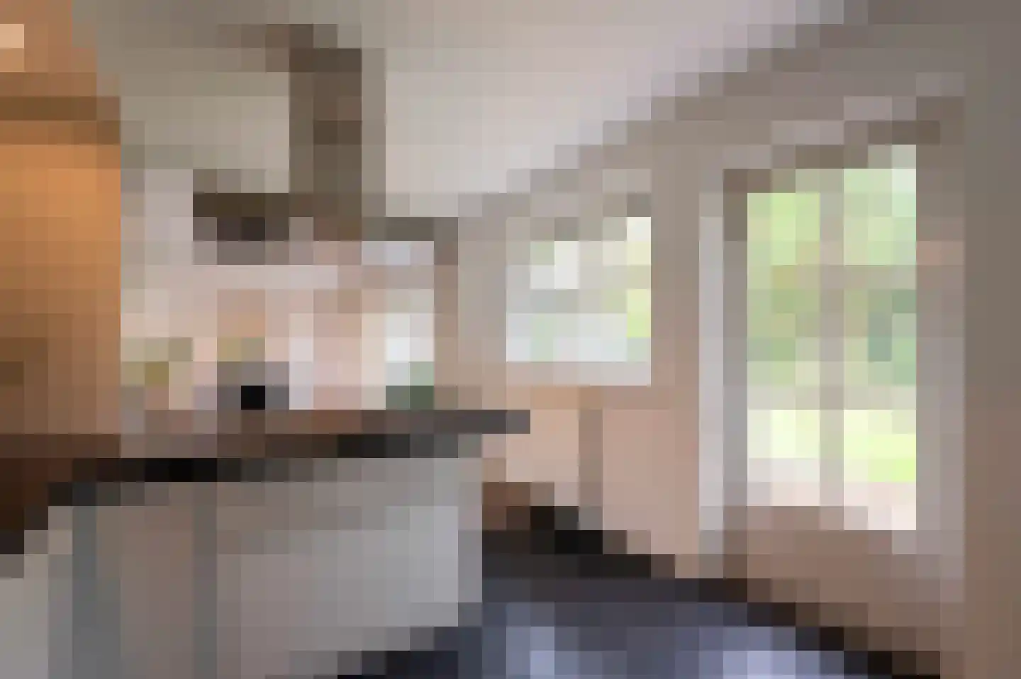 Arnoutlaan 3 Hoeven thumbnail 21