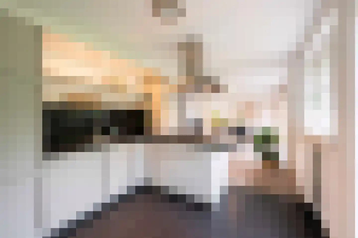 Arnoutlaan 3 Hoeven thumbnail 22