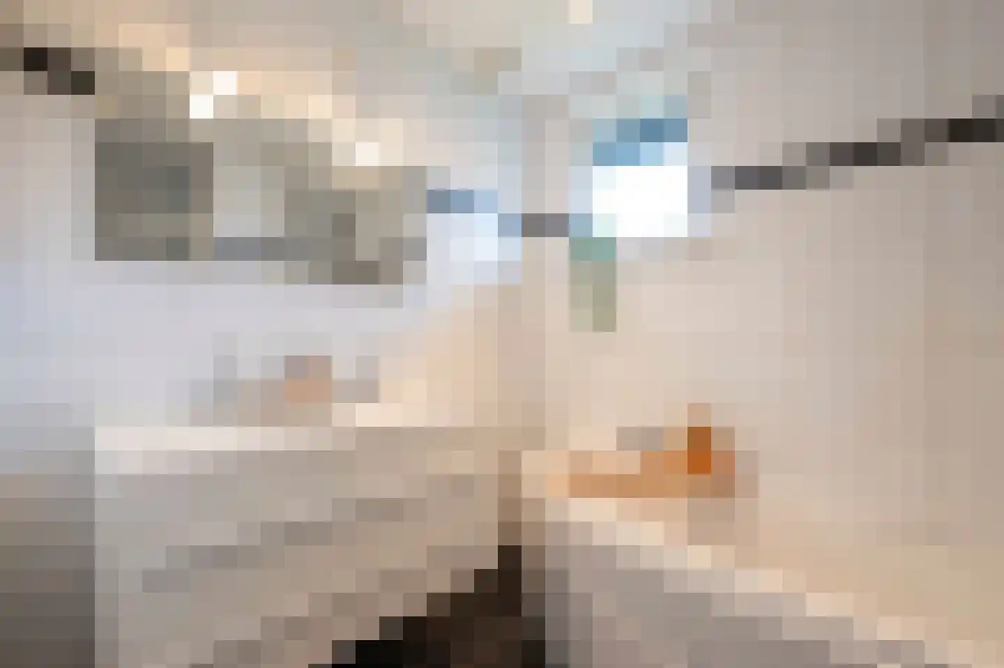 Arnoutlaan 3 Hoeven thumbnail 29