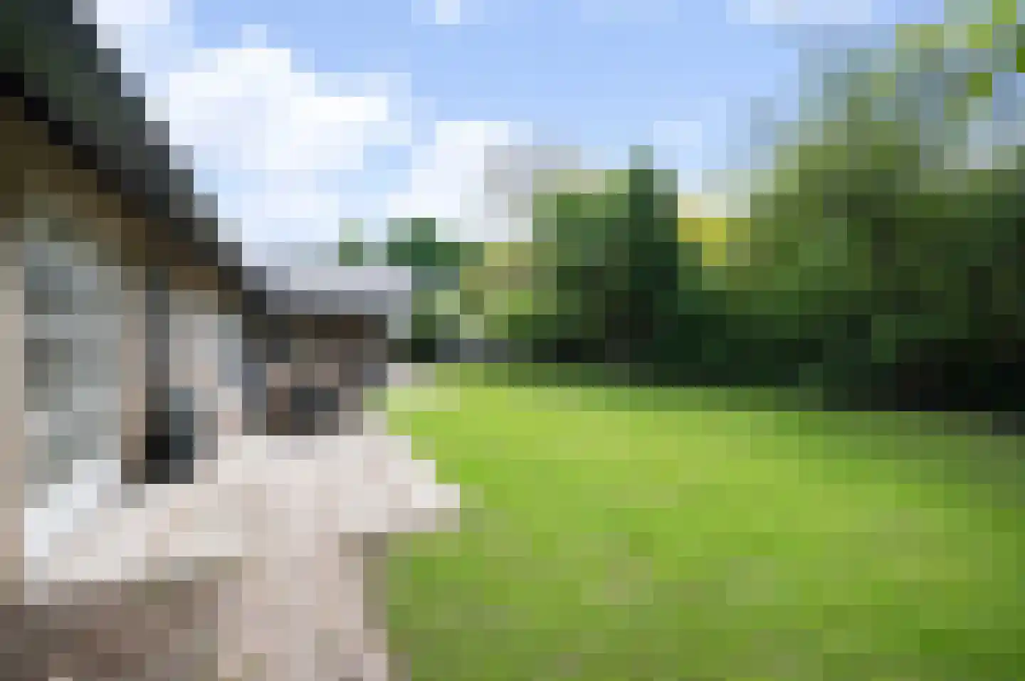 Arnoutlaan 3 Hoeven thumbnail 37