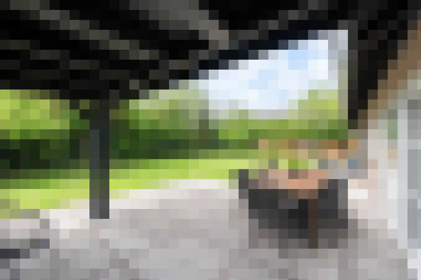 Arnoutlaan 3 Hoeven thumbnail 38