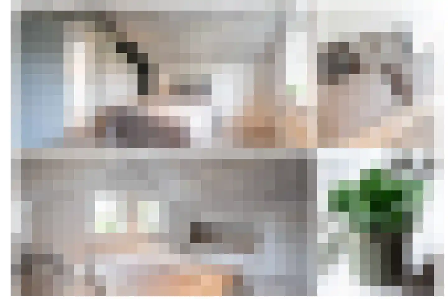 Arnoutlaan 3 Hoeven thumbnail 41