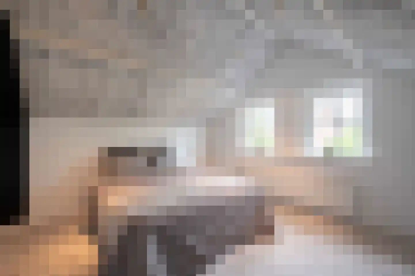 Arnoutlaan 3 Hoeven thumbnail 42