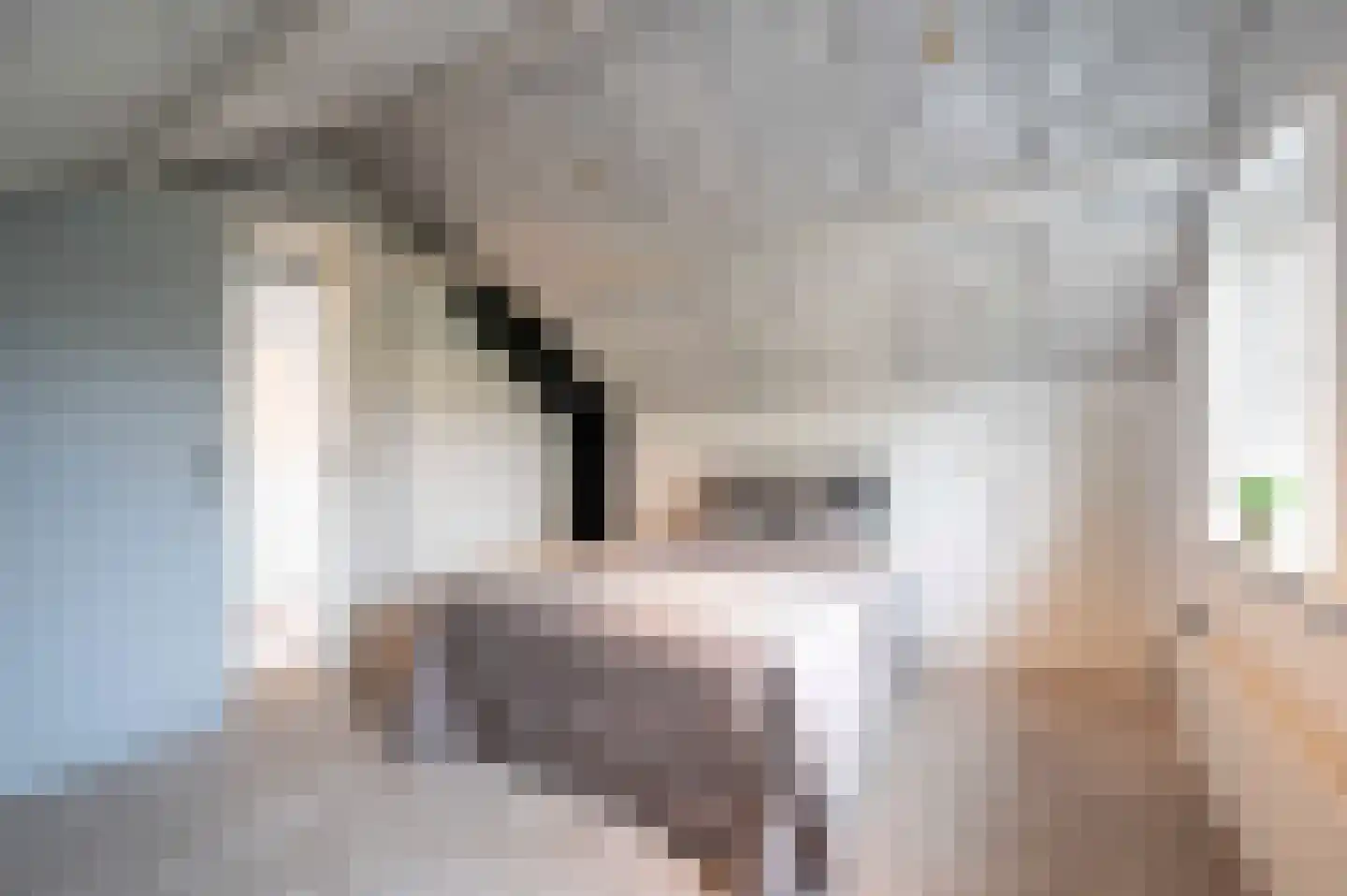 Arnoutlaan 3 Hoeven thumbnail 43
