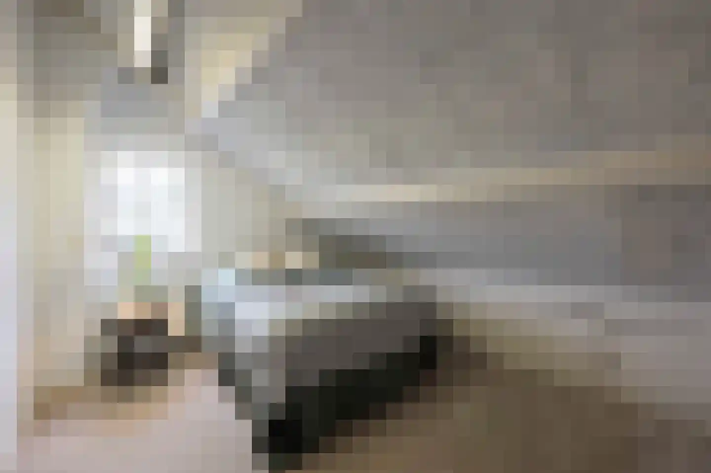 Arnoutlaan 3 Hoeven thumbnail 47