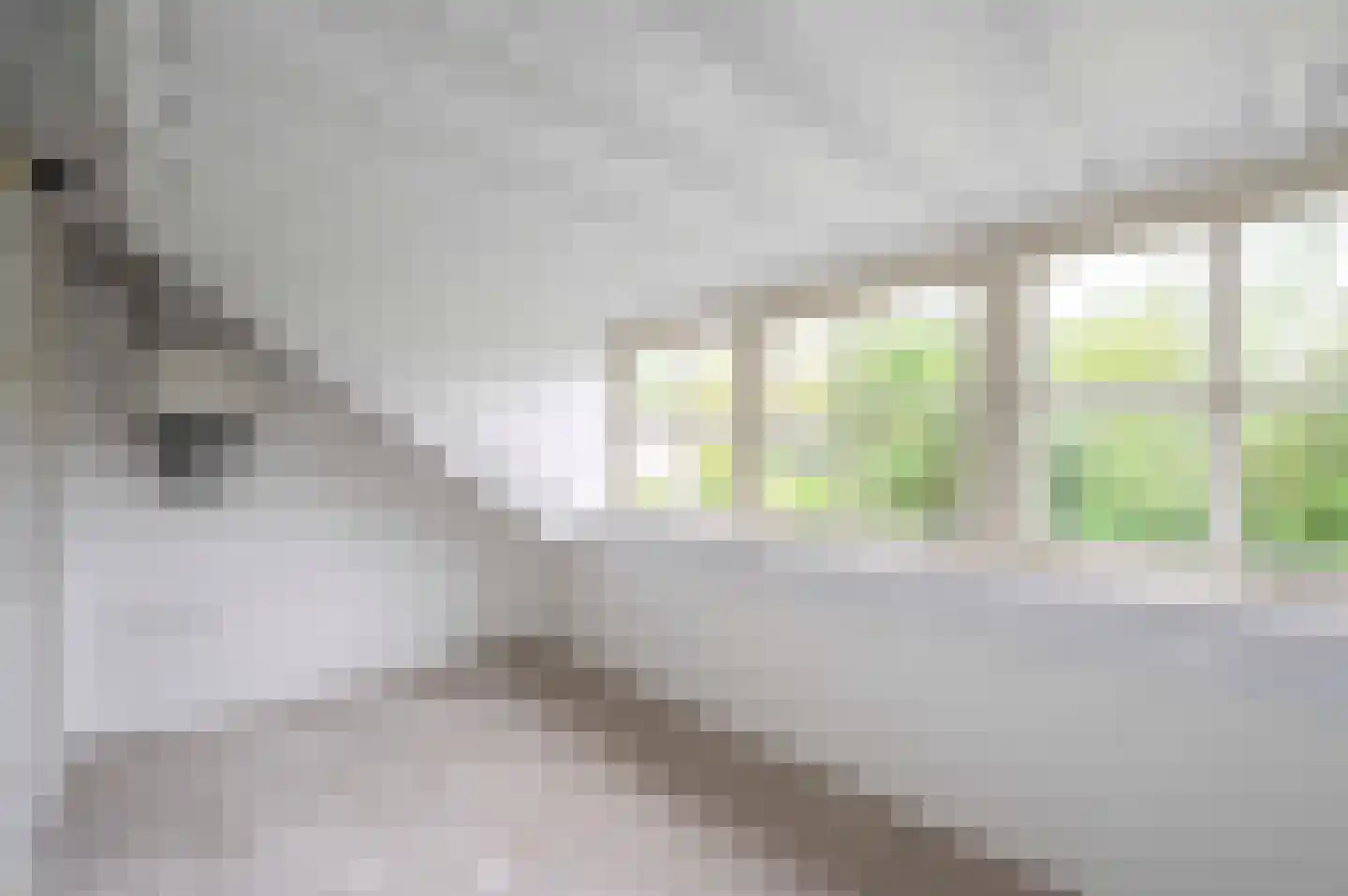 Arnoutlaan 3 Hoeven thumbnail 50