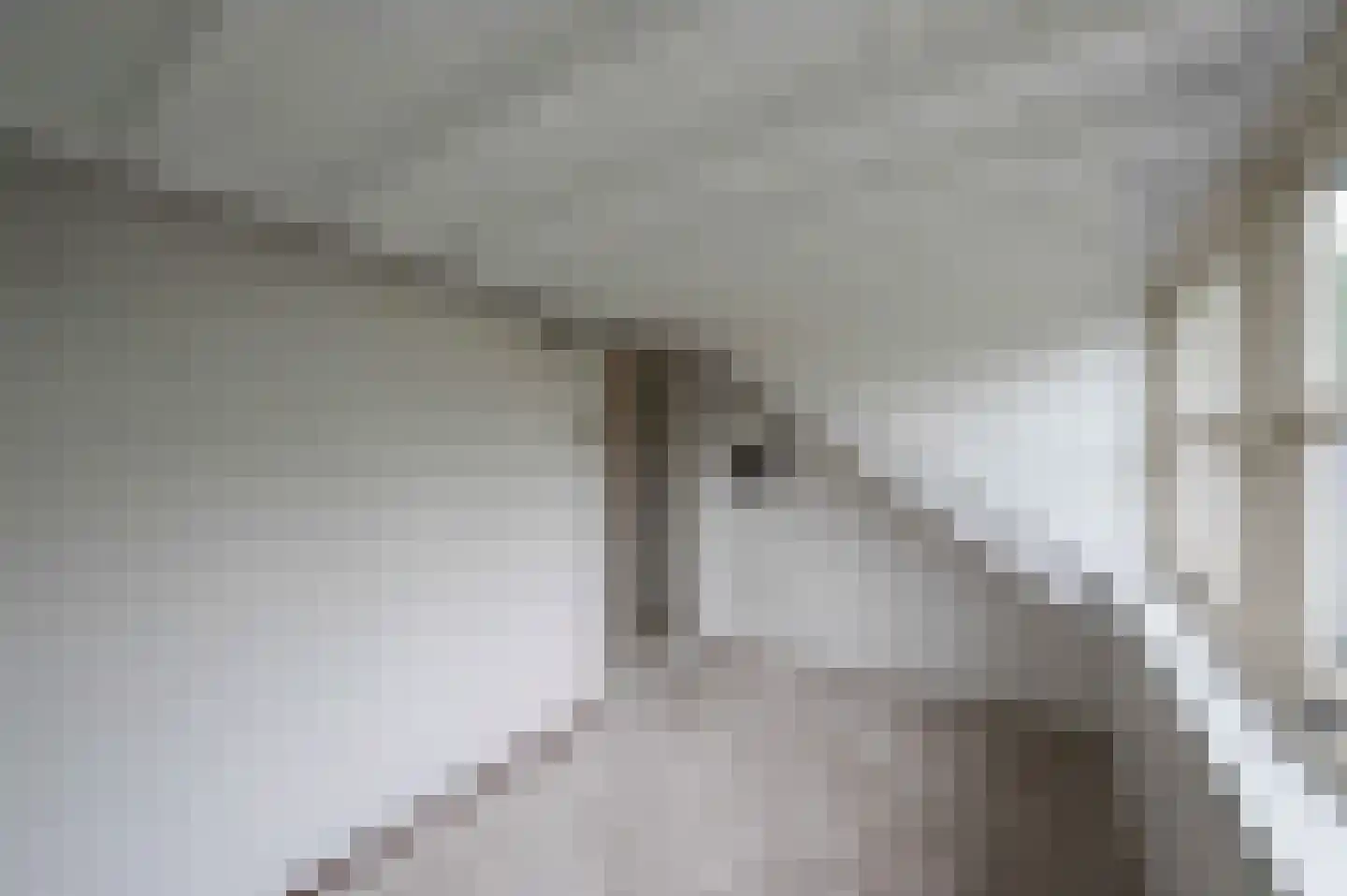 Arnoutlaan 3 Hoeven thumbnail 51