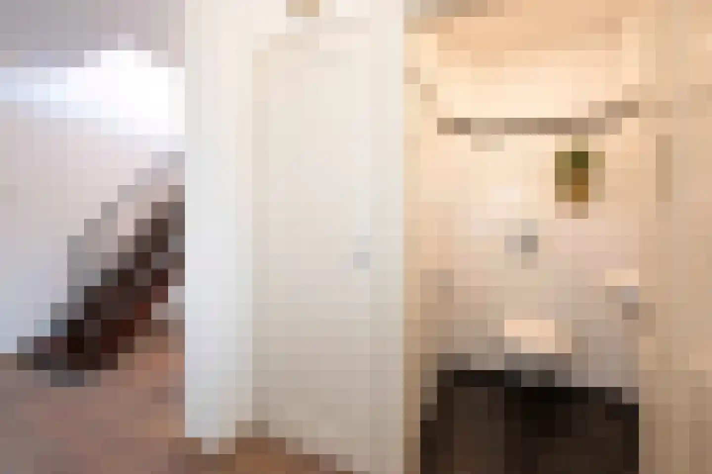 Arnoutlaan 3 Hoeven thumbnail 7