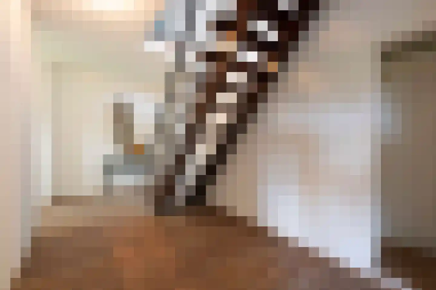 Arnoutlaan 3 Hoeven thumbnail 8