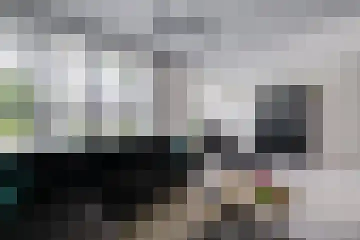 Arnoutlaan 6 Hoeven thumbnail 10