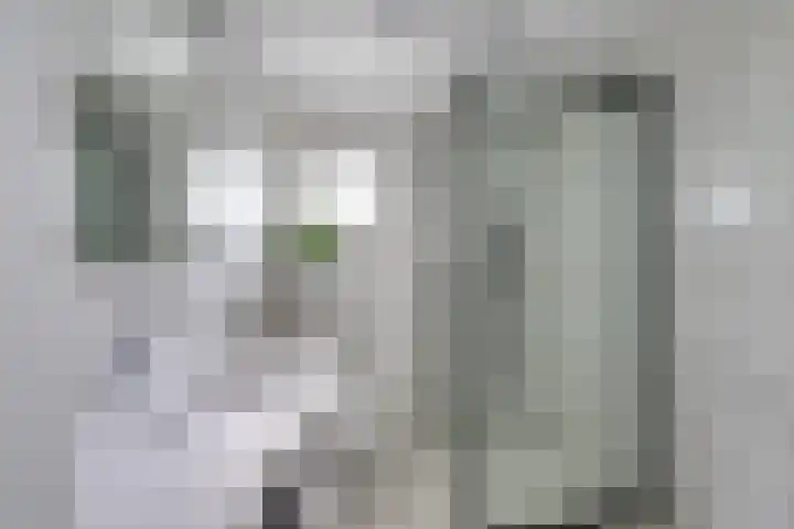 Arnoutlaan 6 Hoeven thumbnail 25