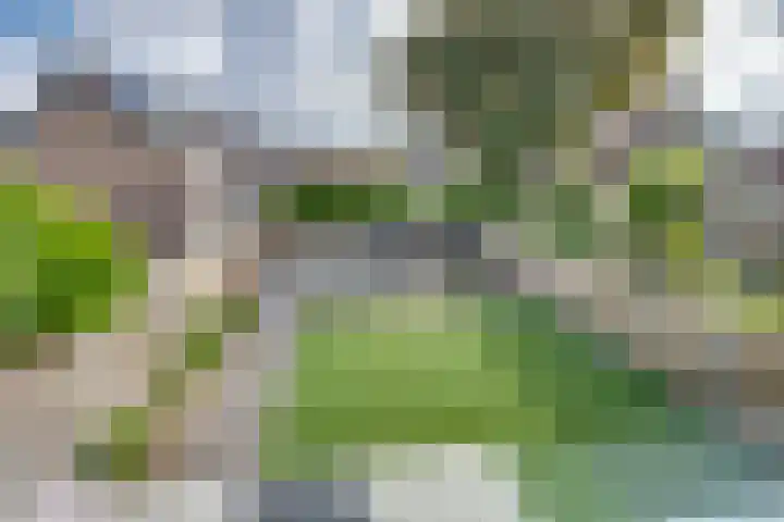 Arnoutlaan 6 Hoeven thumbnail 28