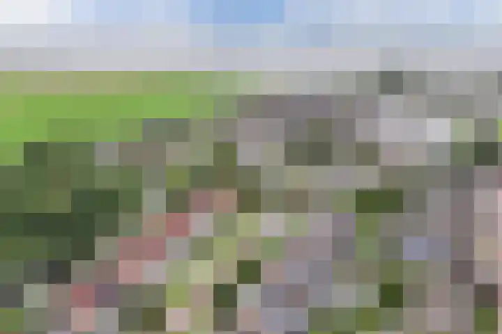 Arnulfstraat 39 Guttecoven thumbnail 10