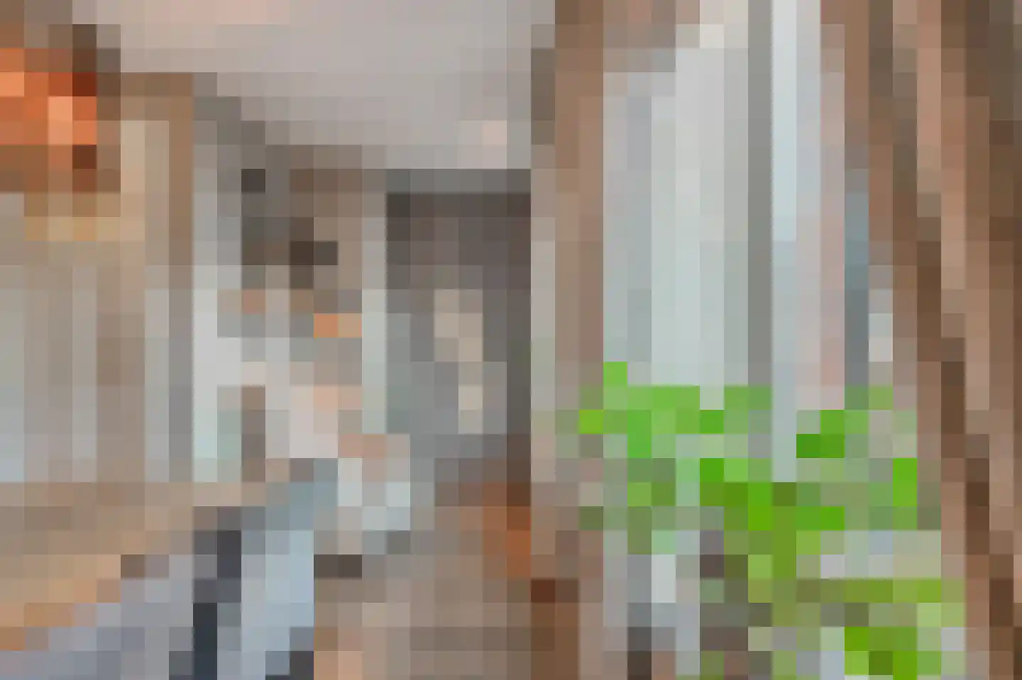Arnulfstraat 39 Guttecoven thumbnail 16