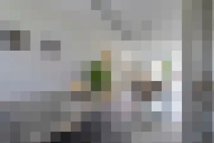Arnulfstraat 39 Guttecoven thumbnail 18