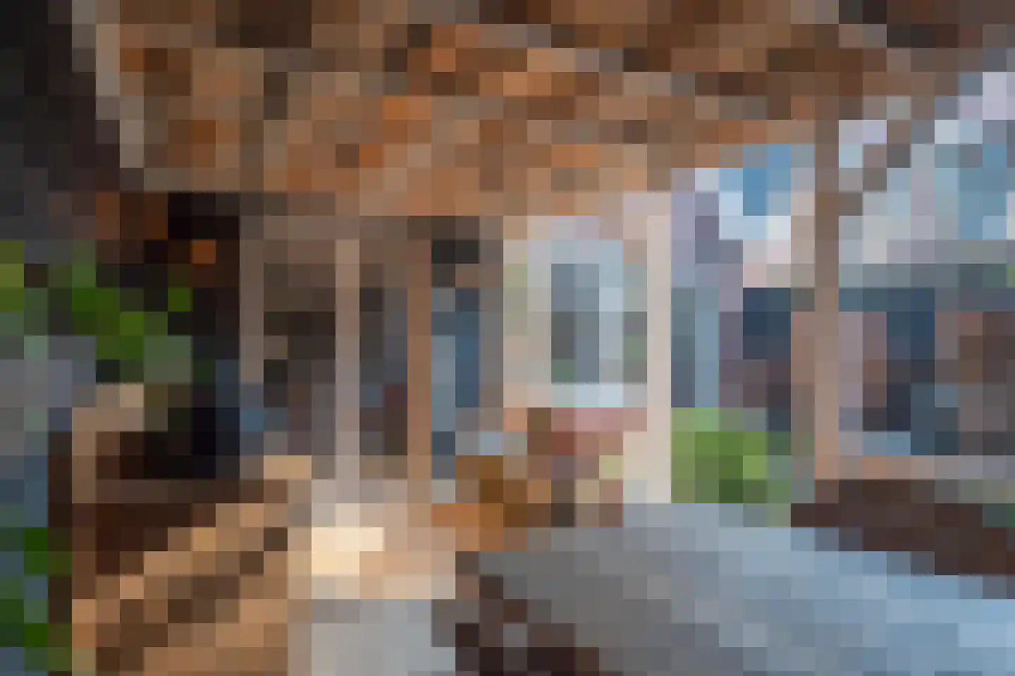 Arnulfstraat 39 Guttecoven thumbnail 32