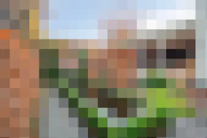 Arnulfstraat 39 Guttecoven thumbnail 37