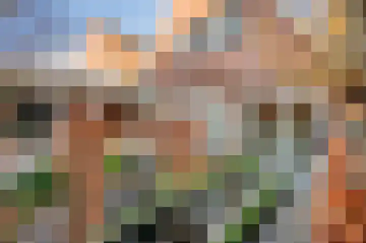 Arnulfstraat 39 Guttecoven thumbnail 38