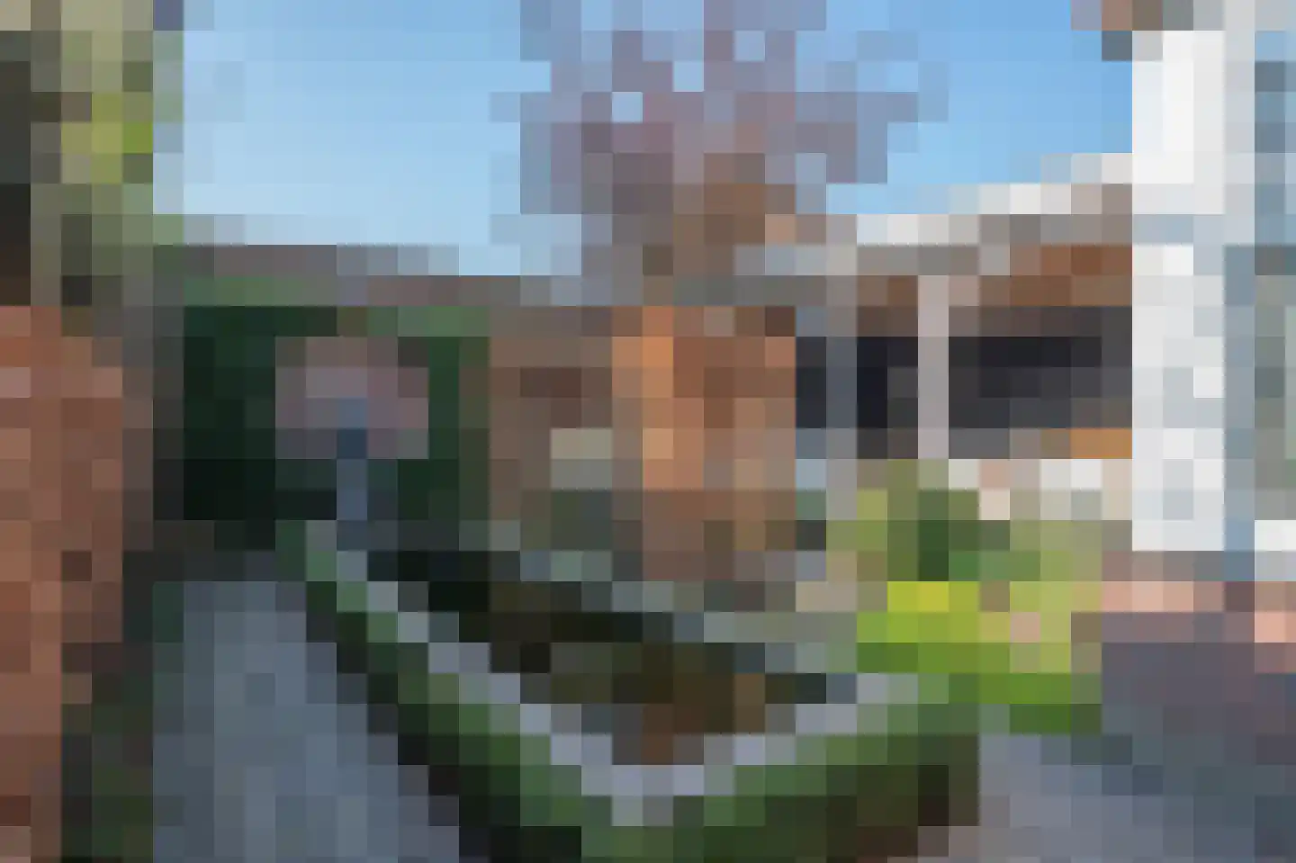 Arnulfstraat 39 Guttecoven thumbnail 4