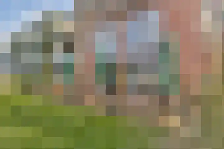 Arnulfstraat 39 Guttecoven thumbnail 60