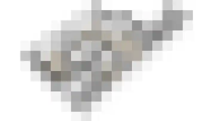 Arnulfstraat 39 Guttecoven thumbnail 61