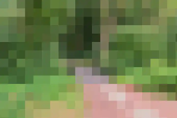 Arnulfstraat 39 Guttecoven thumbnail 62