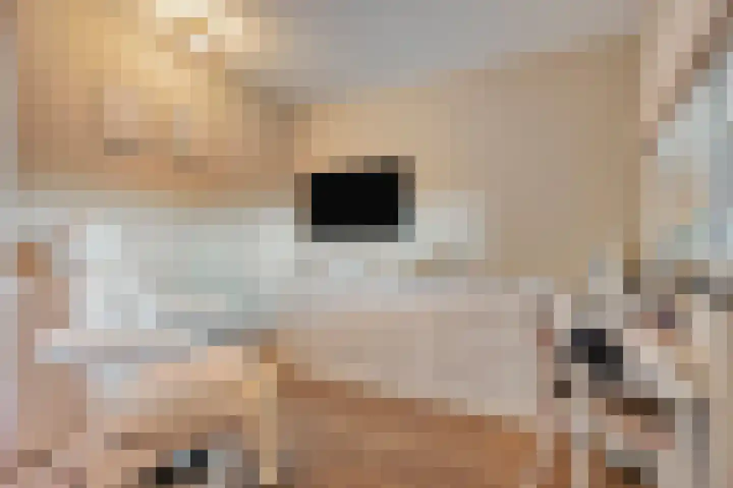 Arnulfstraat 39 Guttecoven thumbnail 9
