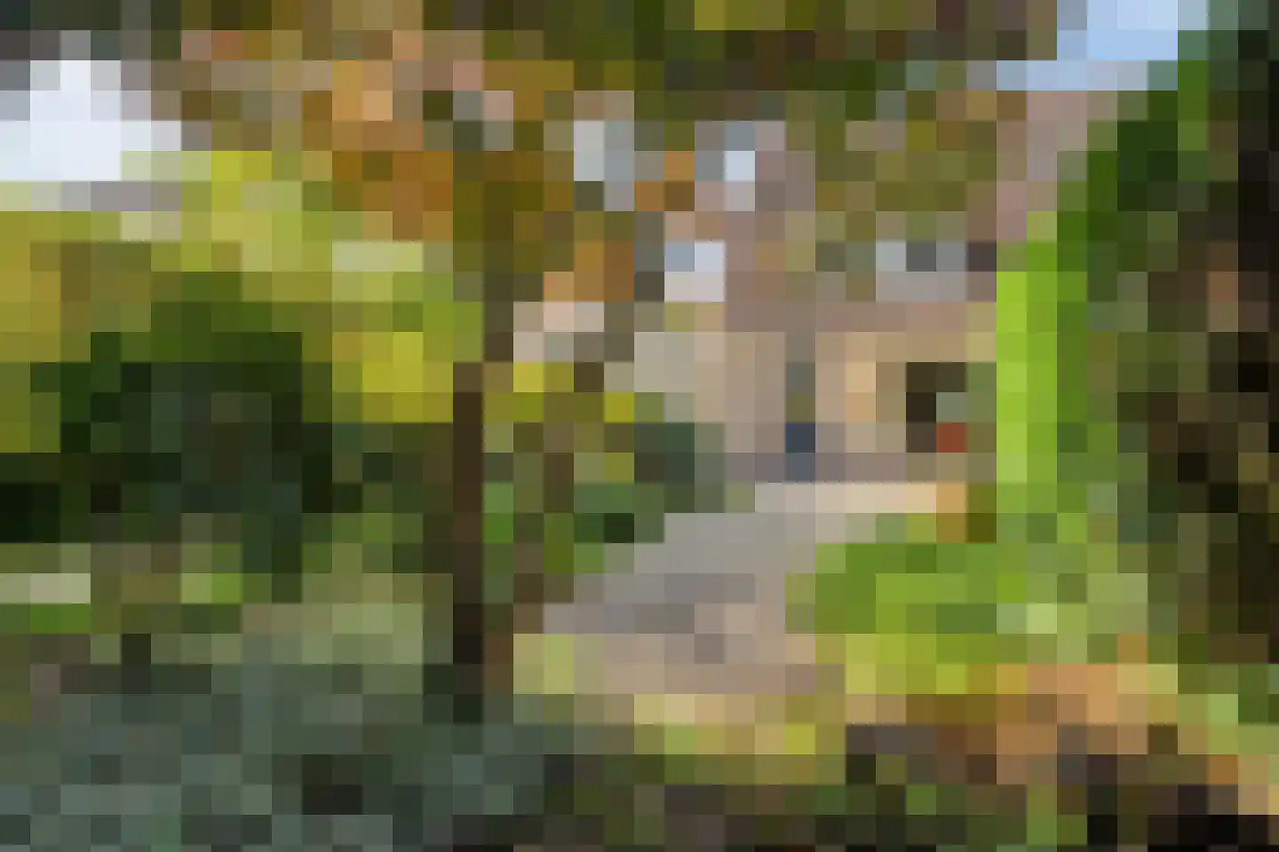 Arodaveld 12 Cuijk thumbnail 11