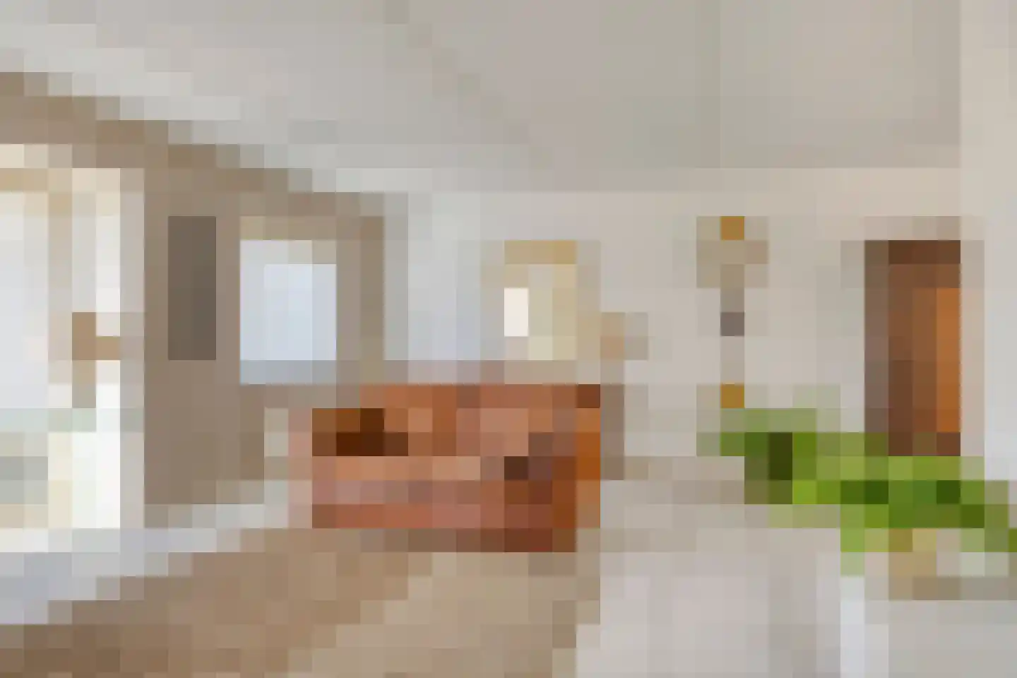 Arodaveld 12 Cuijk thumbnail 24
