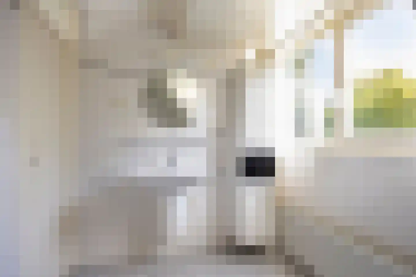 Arodaveld 12 Cuijk thumbnail 37